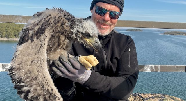 Kansanedustaja Pauli Aalto-Setälä